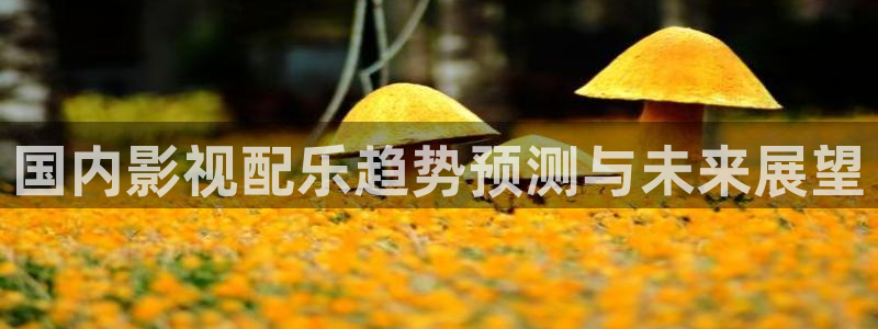 神马电影2012我不卡